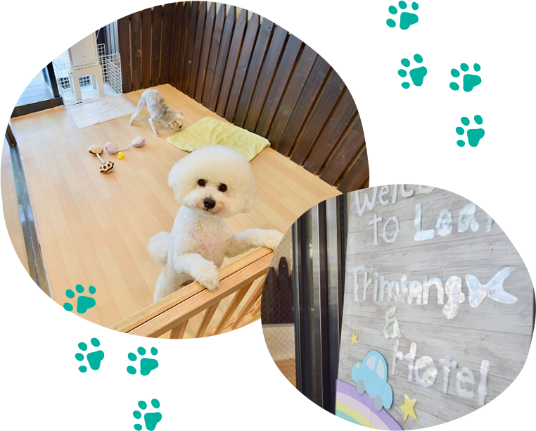 わんちゃん・ねこちゃんの“第2のおうち” サロン案内